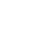 icoLock32White