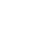 icoSave32White