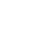 icoScale32White